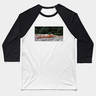 Red Fox Stretch - Algonquin Park, Canada Baseball T-Shirt